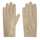 Men's leather gloves